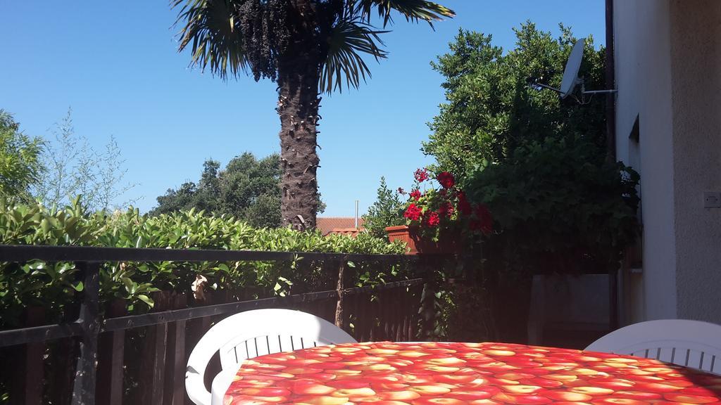 מדולין Apartment Zlata Vrcevan מראה חיצוני תמונה
