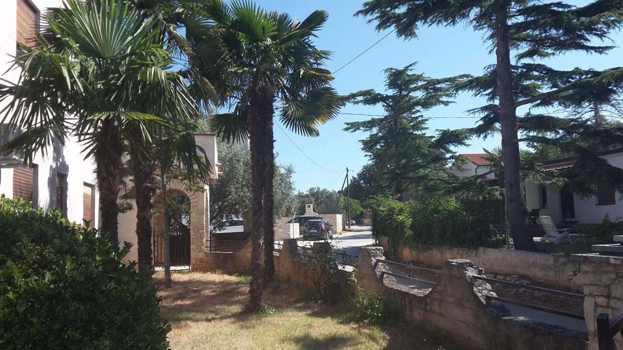 מדולין Apartment Zlata Vrcevan מראה חיצוני תמונה